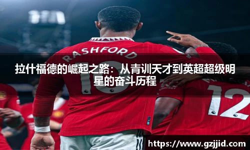 星空xk·(中国)体育官方网站